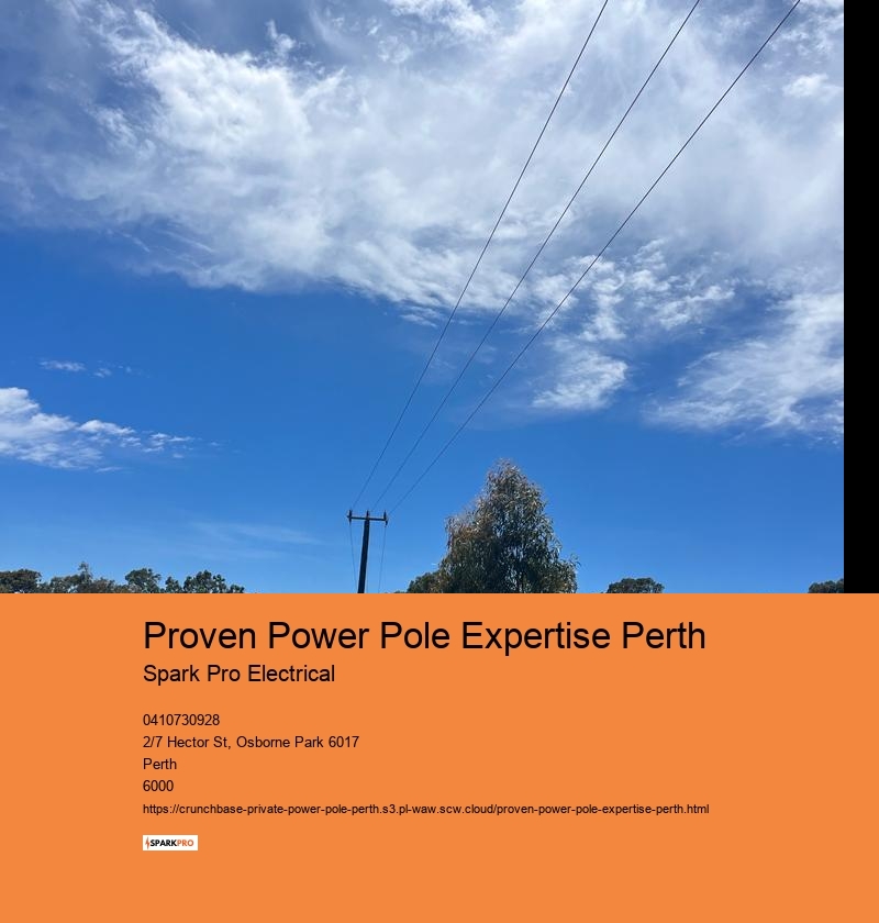 Skilled Power Pole Replacement Technicians